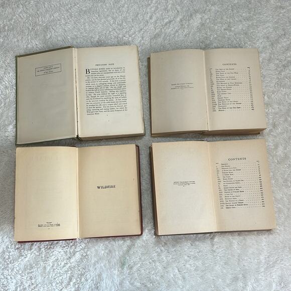 Vtg Zane Grey Lot 4 novels The Last of The Plainsmen First Edition 1908 outing - Picture 4 of 11